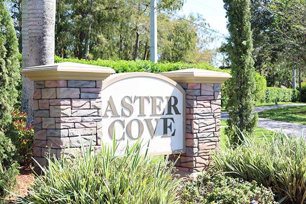 Aster Cove