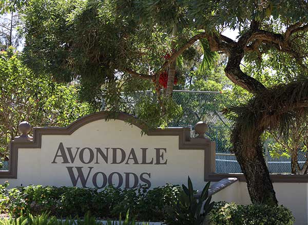 Avondale Woods