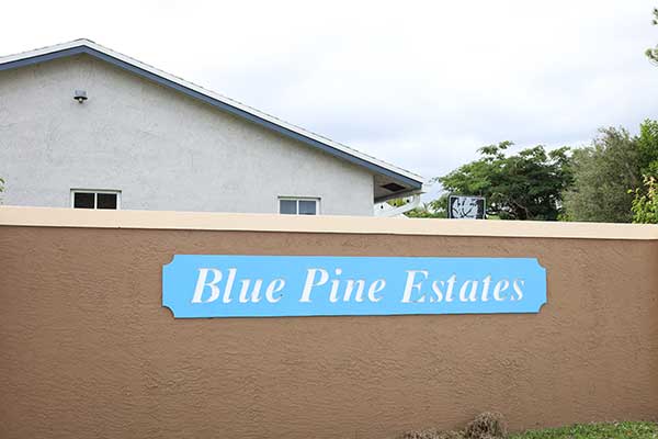 Blue Pine Estates