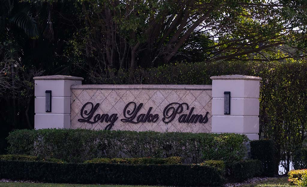 Long Lake Palms