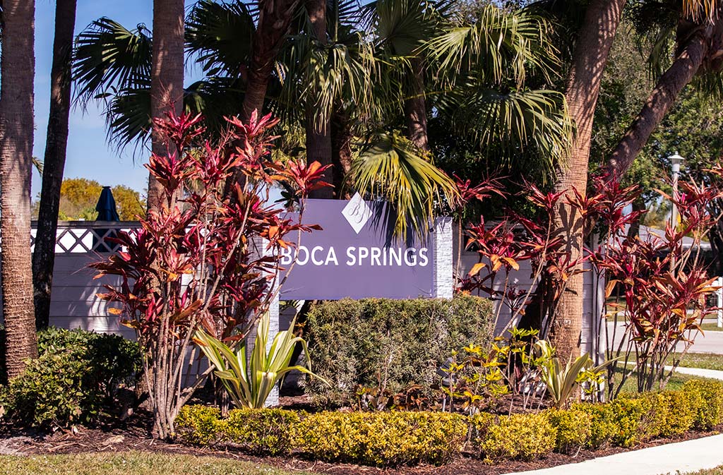 Boca Springs