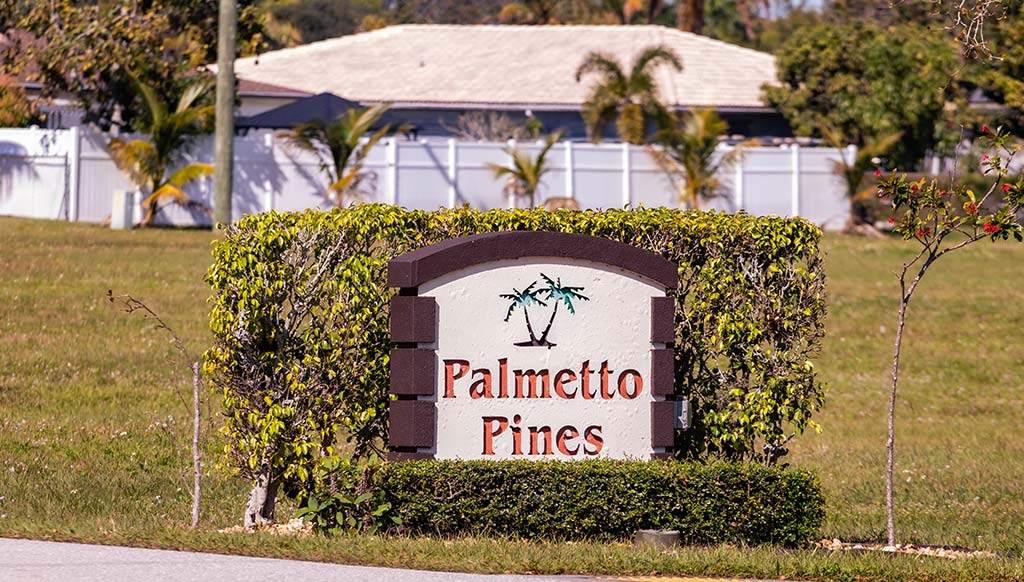 Palmetto Pines