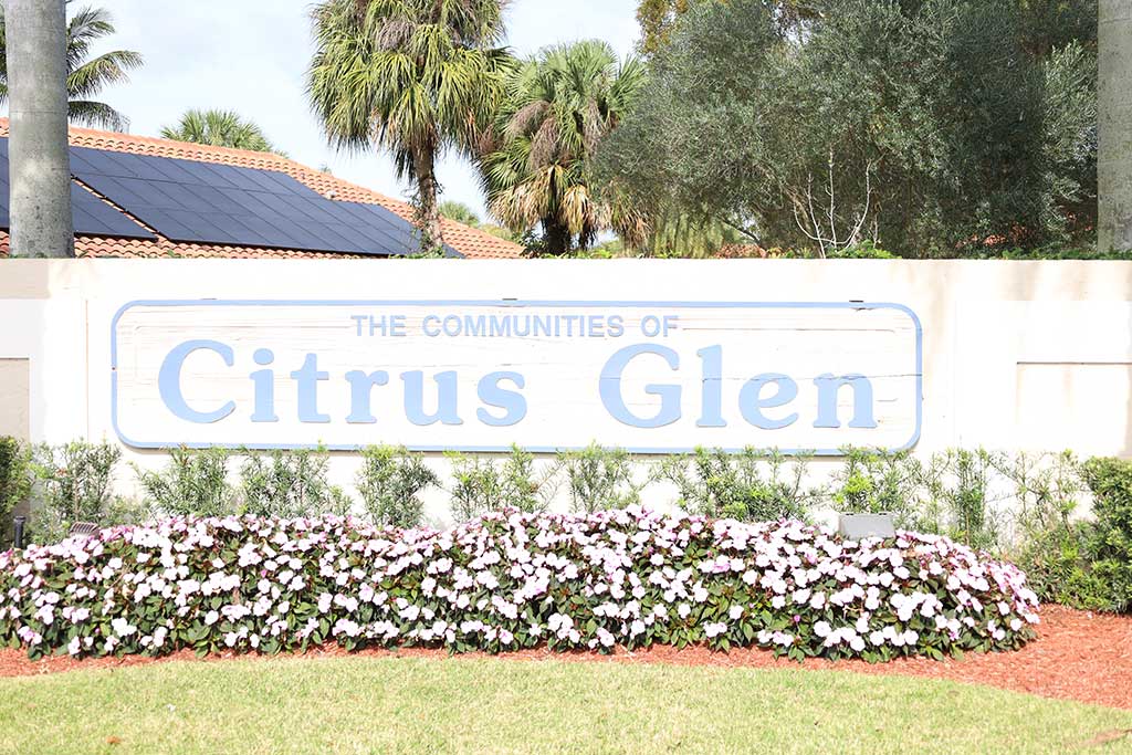 Citrus Glen