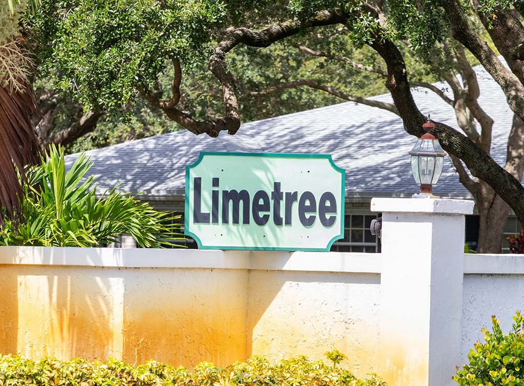 limetree