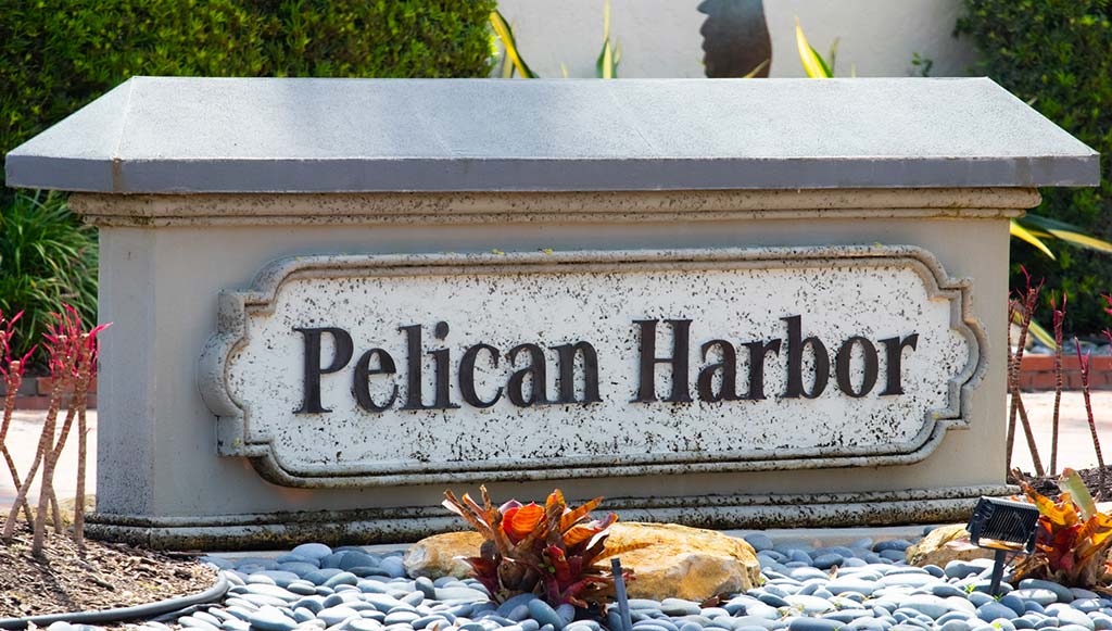 Pelican Harbor