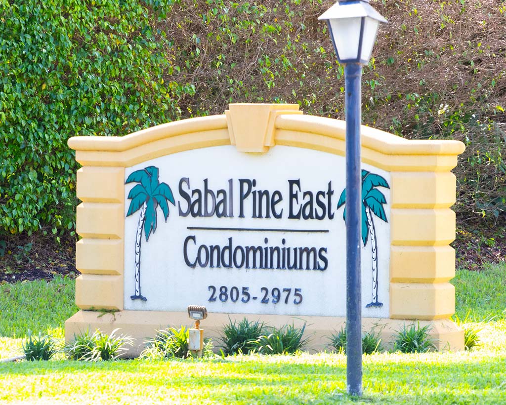 Sabal Pine