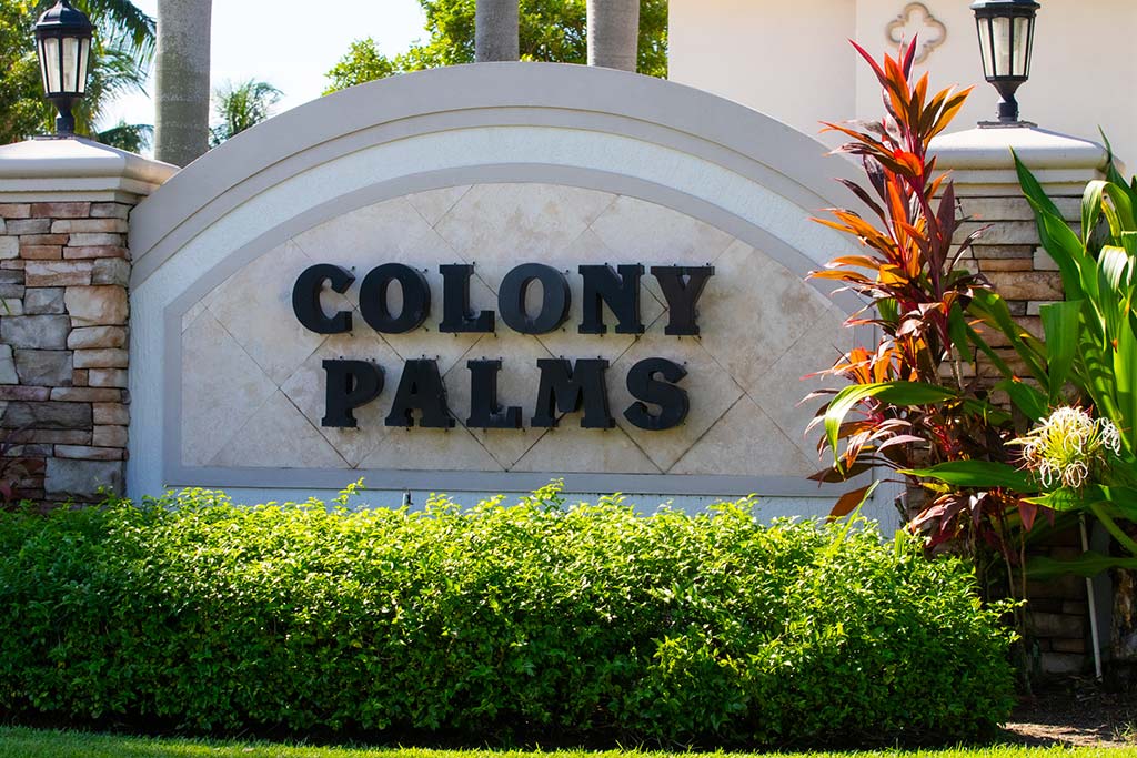 Colony Palms