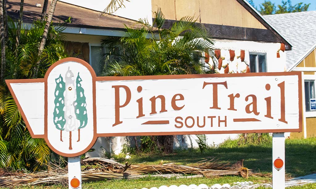 Pine Trail