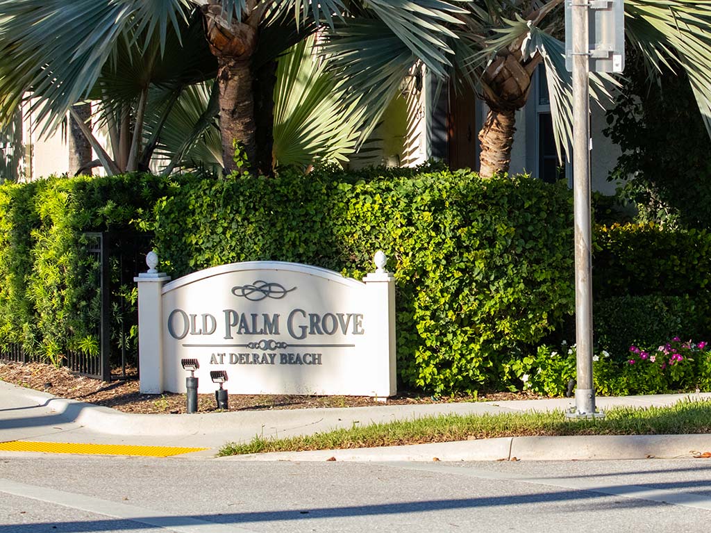 Old Palm Grove