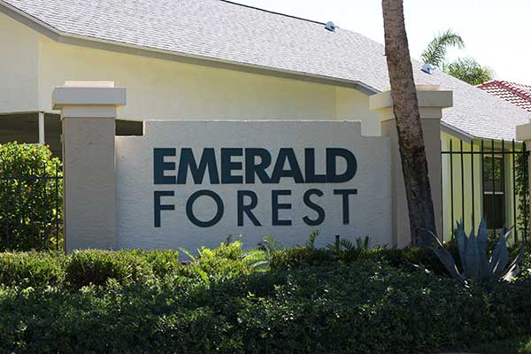 Emerald Forest