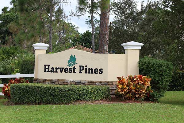 Harvest Pines