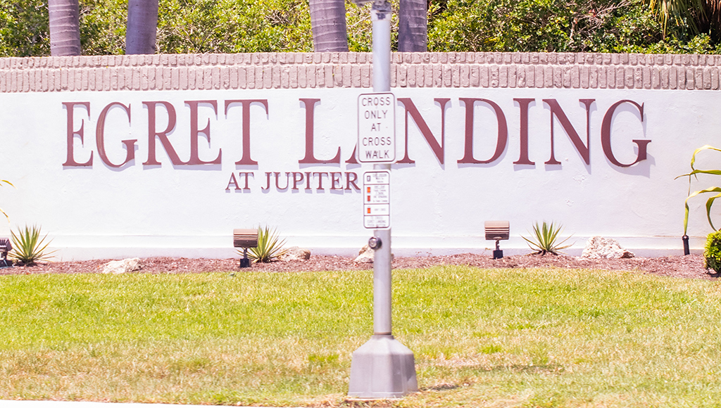 Egret Landing