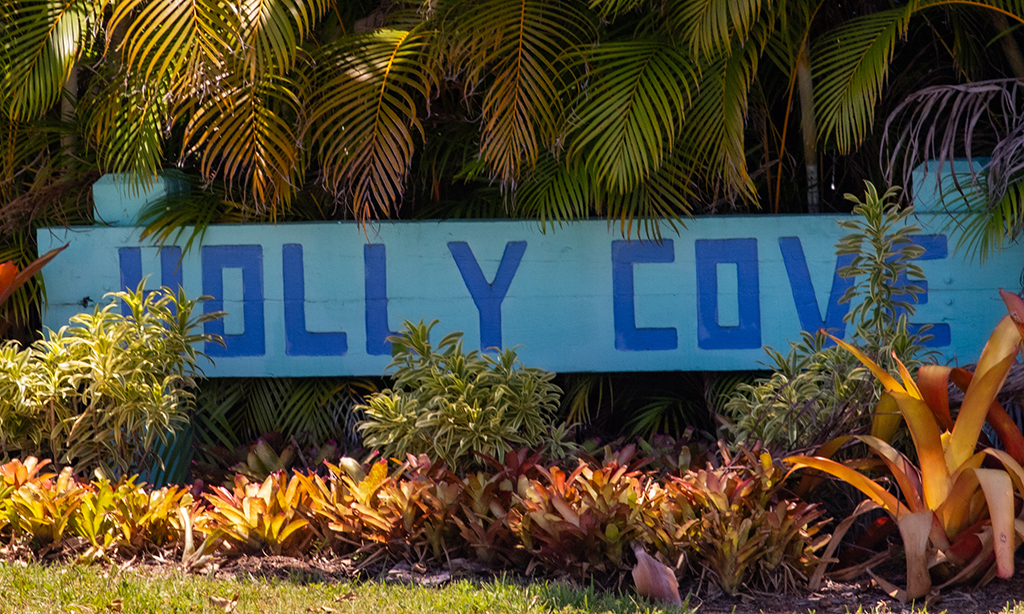 Holly Cove