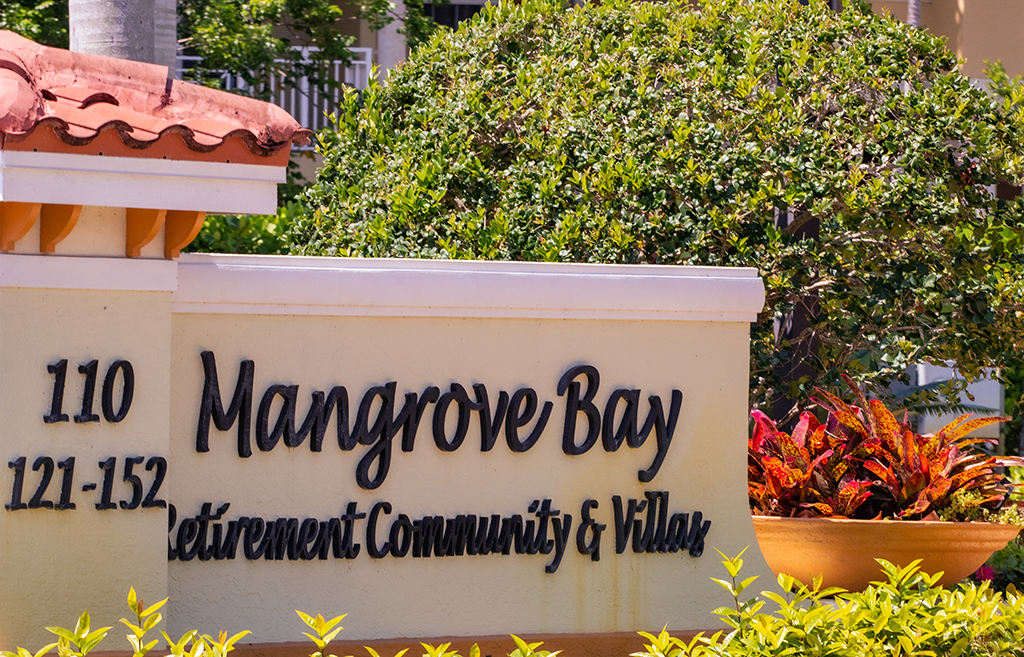 Mangrove Bay