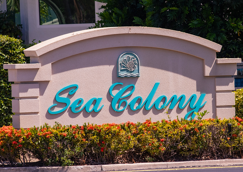 Sea Colony