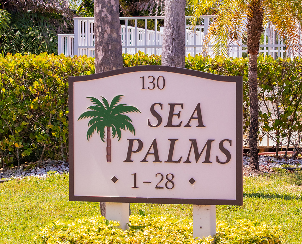 Sea Palms