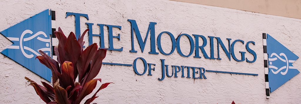 The Moorings of Jupiter