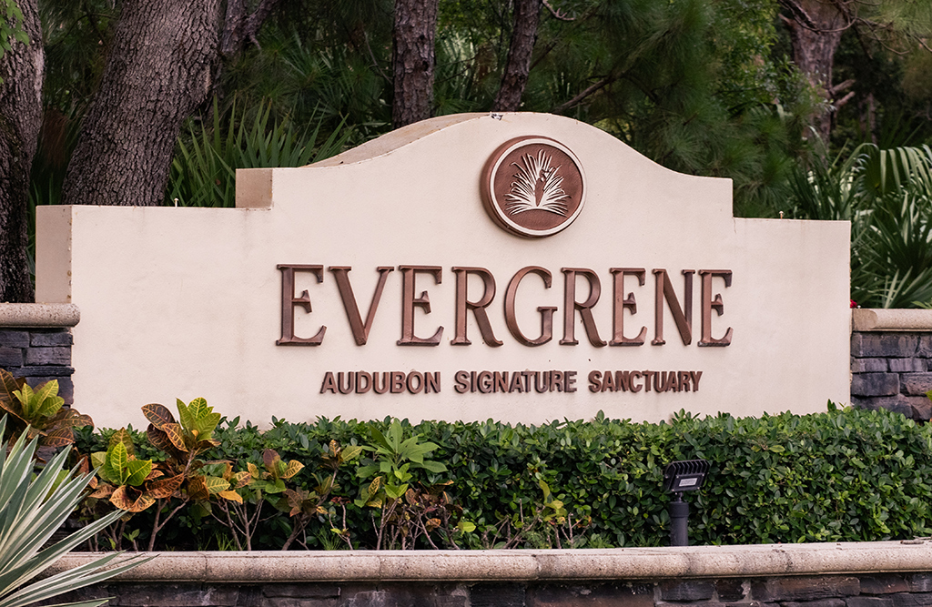 Evergrene