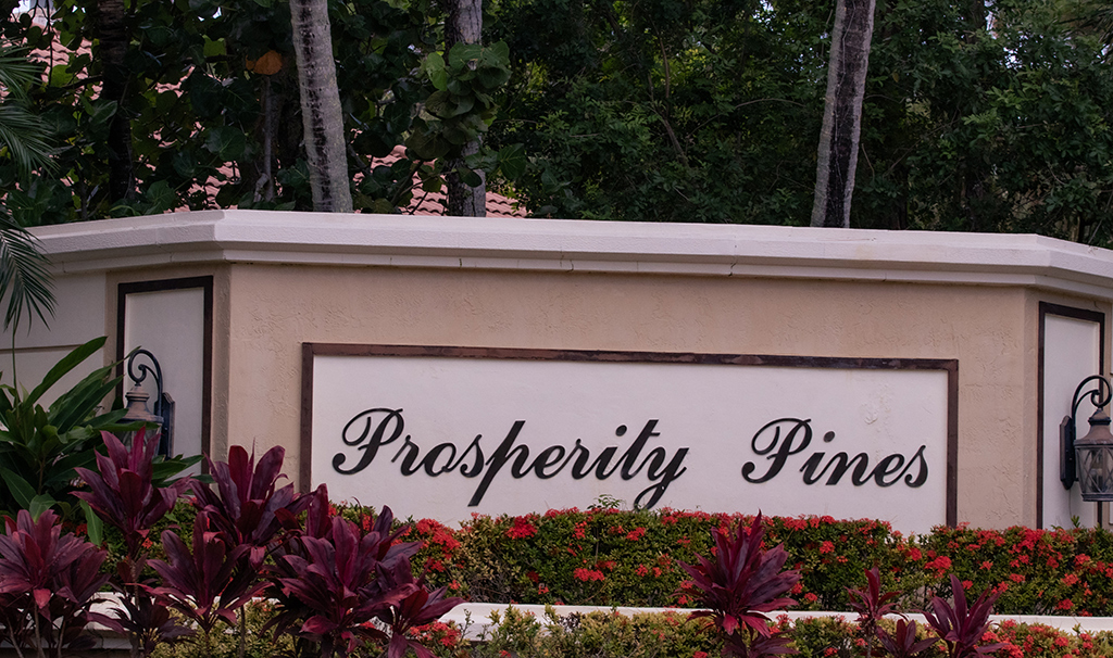 Prosperty Pines
