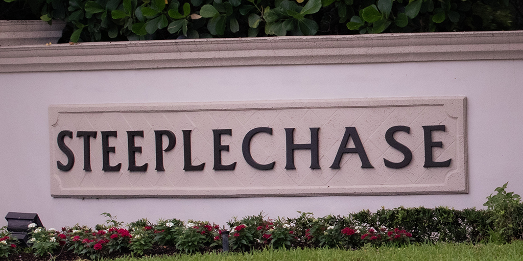Steeplechase