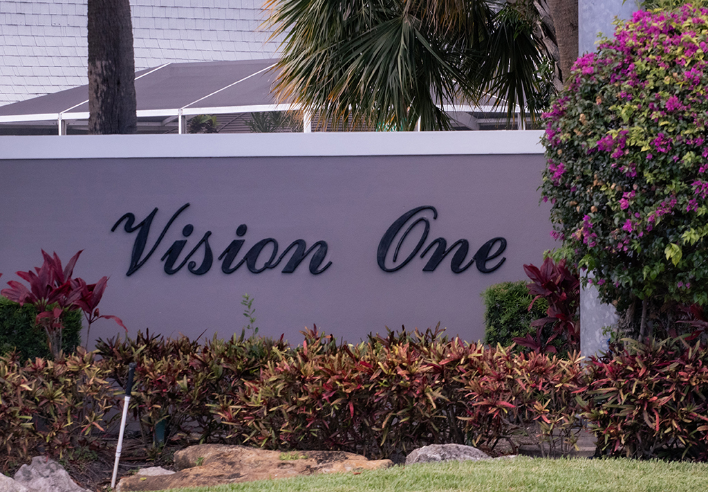 Vision One