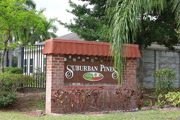 Suburban Pines