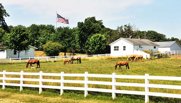 White Fences Equestrian Estates