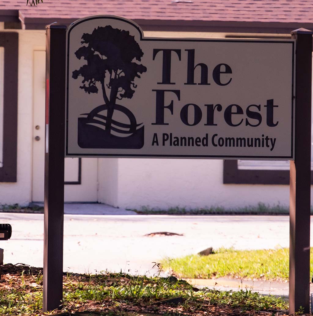 The Forest