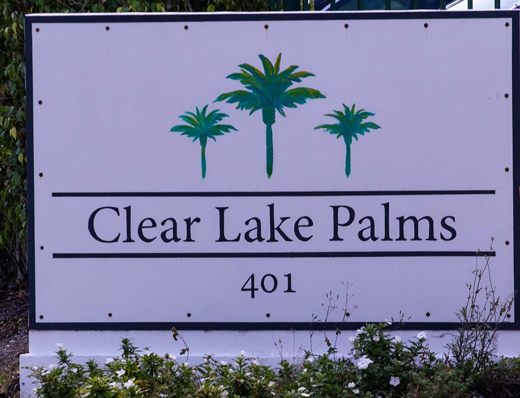 Clear Lake Palms