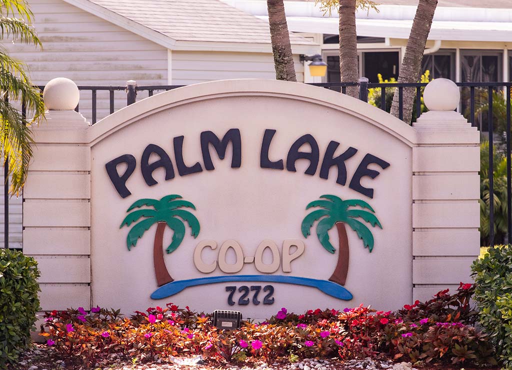 Palm Lake