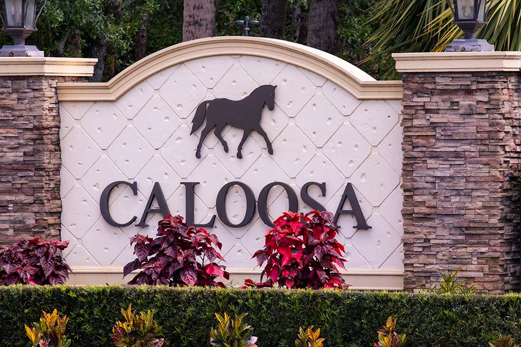 Caloosa