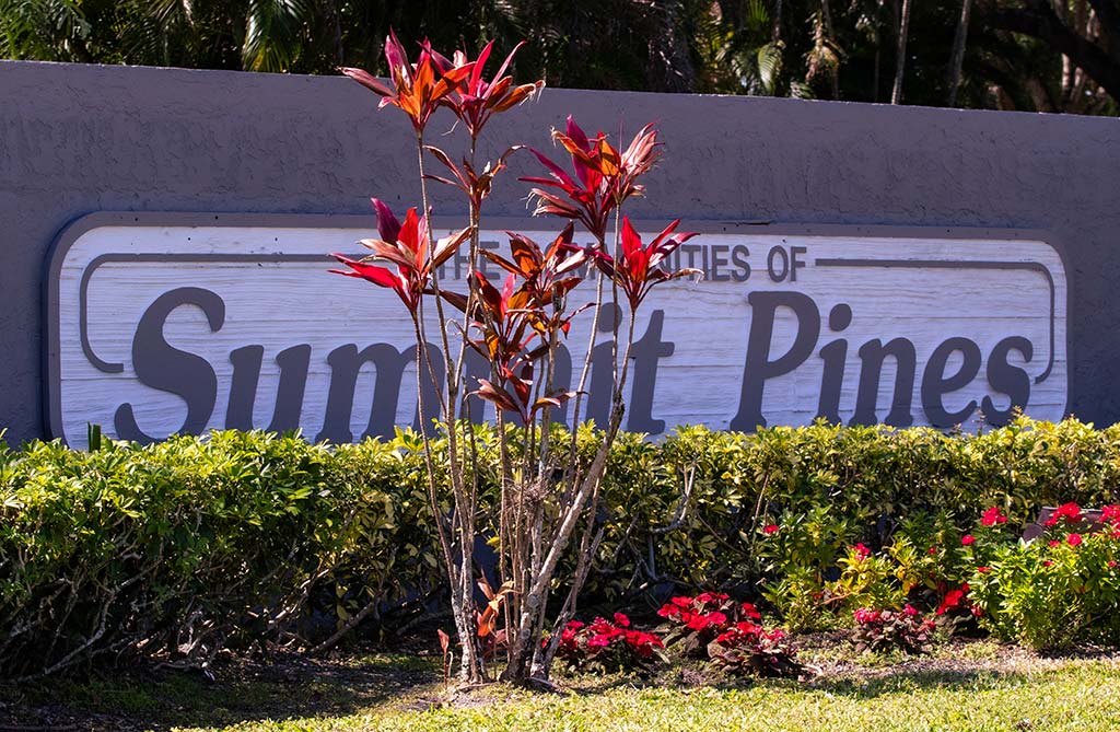 Summit Pines