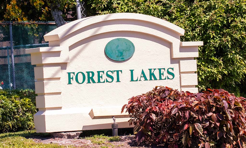 Forest Lakes