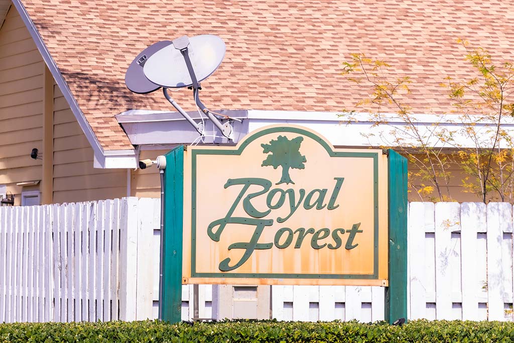 Royal Forest
