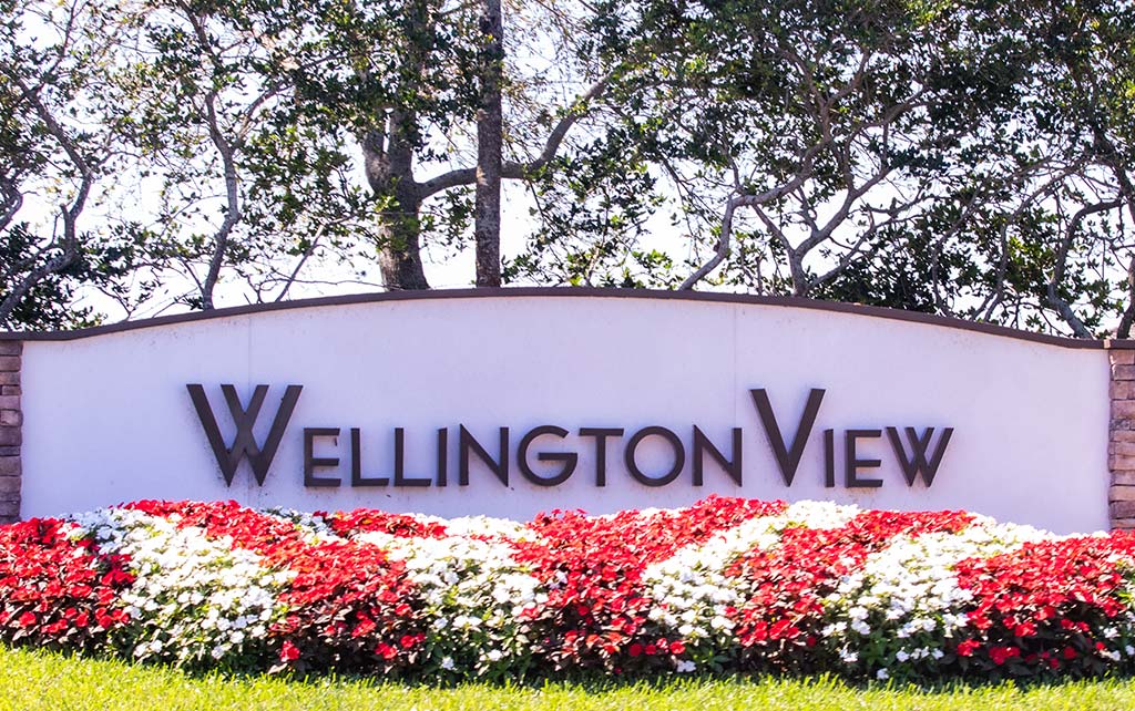 Wellington View