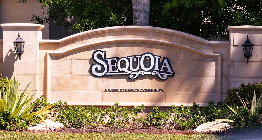 Sequoia