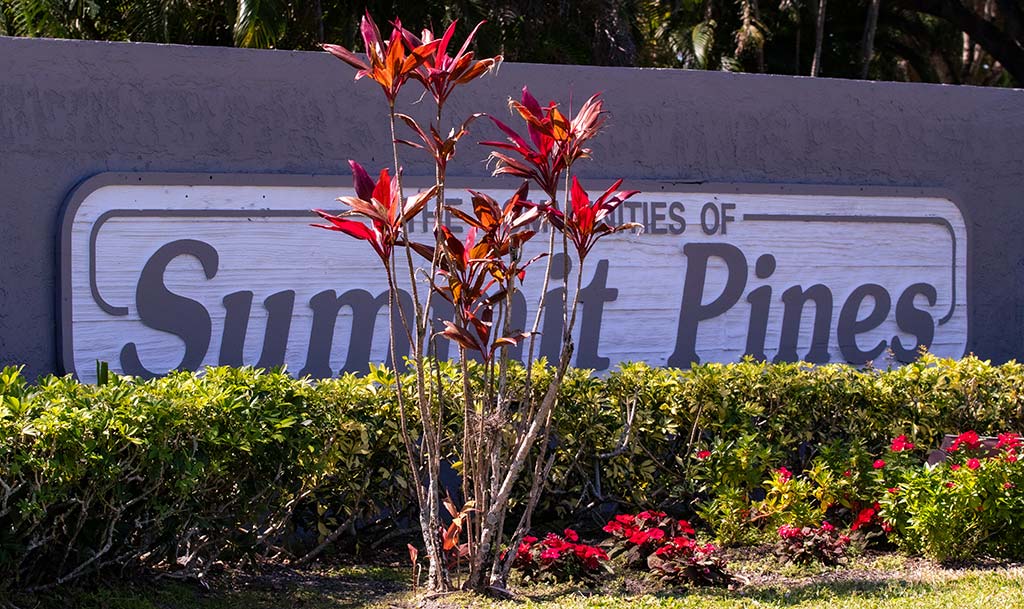 Summit Pines